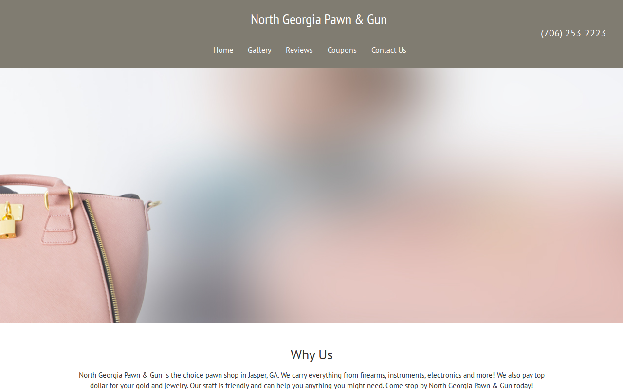 North Georgia Pawn & Gun website preview