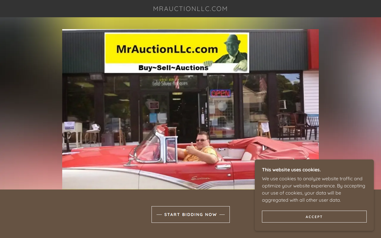 Mr Auction Atlanta website preview