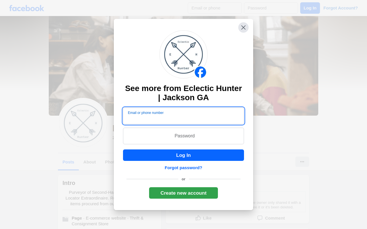 Eclectic Hunter website preview