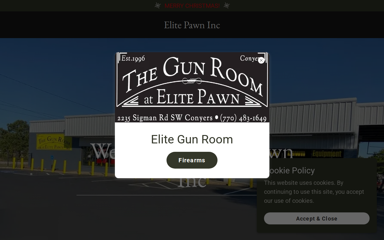 Elite Pawn website preview