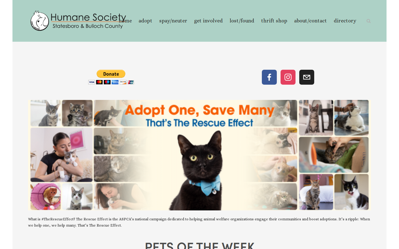 ReTails Thrift Shop website preview