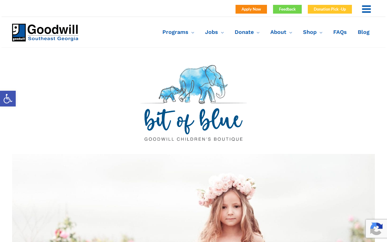 Bit of Blue website preview