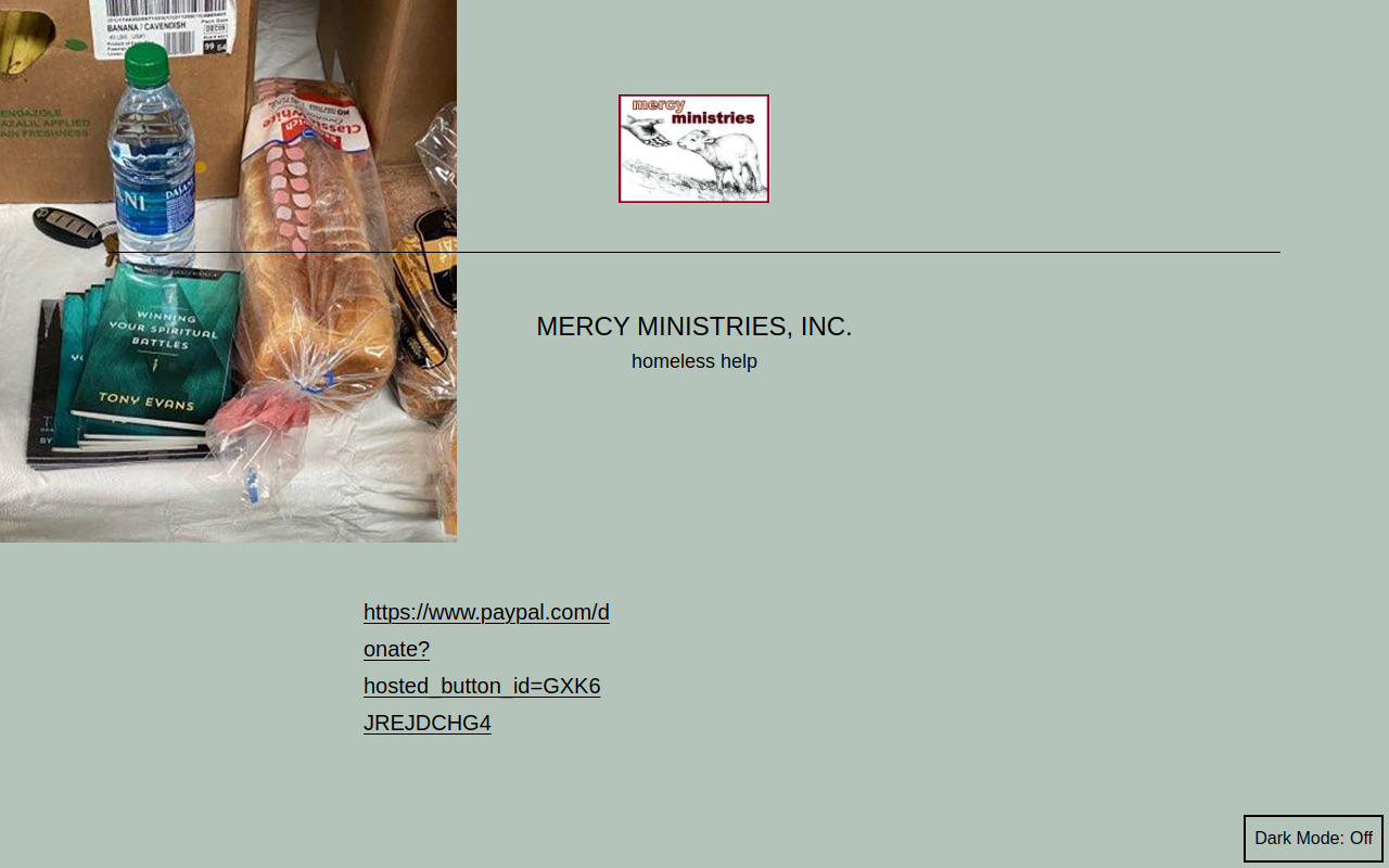 Mercy Ministries Thrift Shop website preview