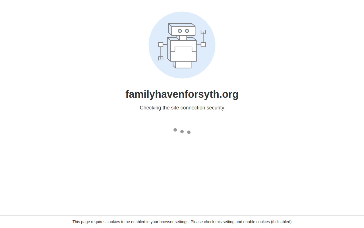 Family Haven Thrift Store website preview
