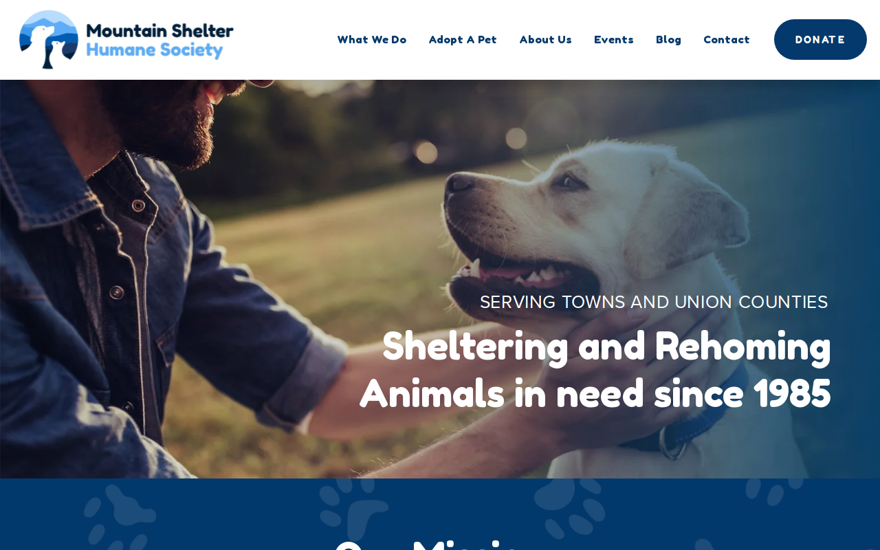 Humane Society's Mountain Shelter Thrift Store website preview