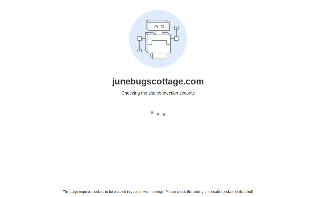 Junebug's Consignment Cottage website preview