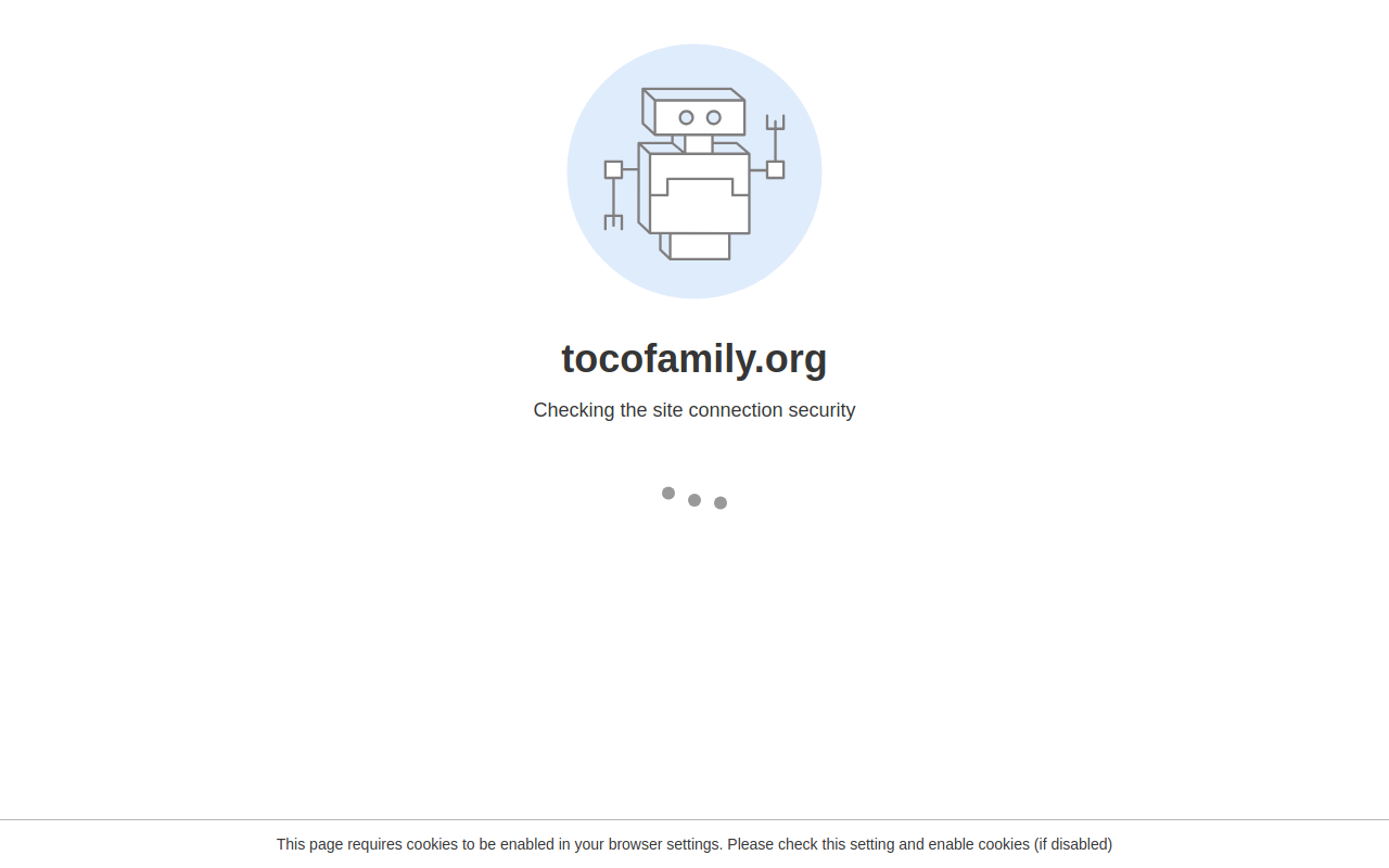 TOCO Shop website preview
