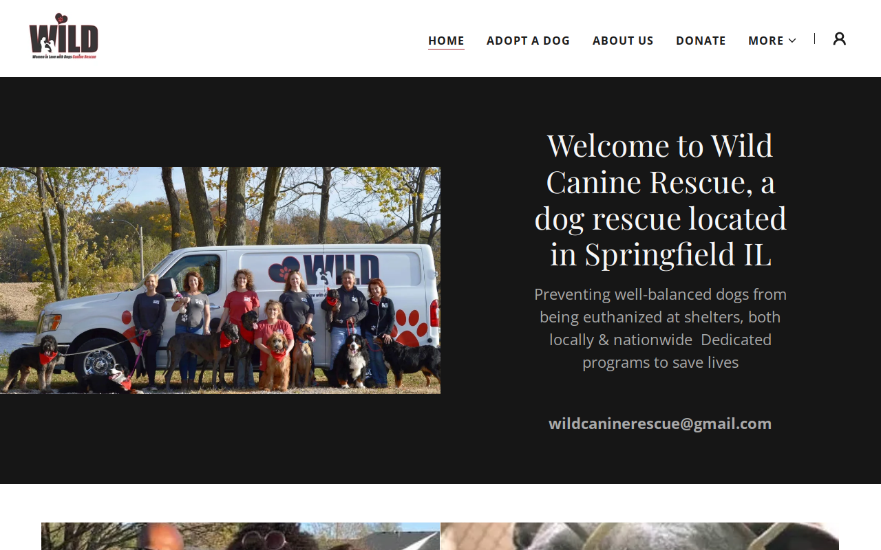 WILD Thrift & Sniff website preview