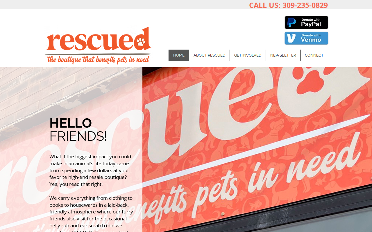 Rescued website preview
