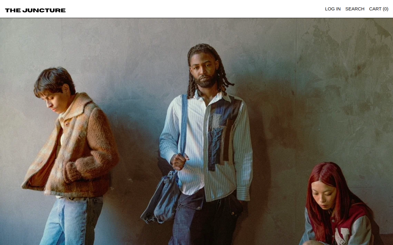 The Juncture website preview