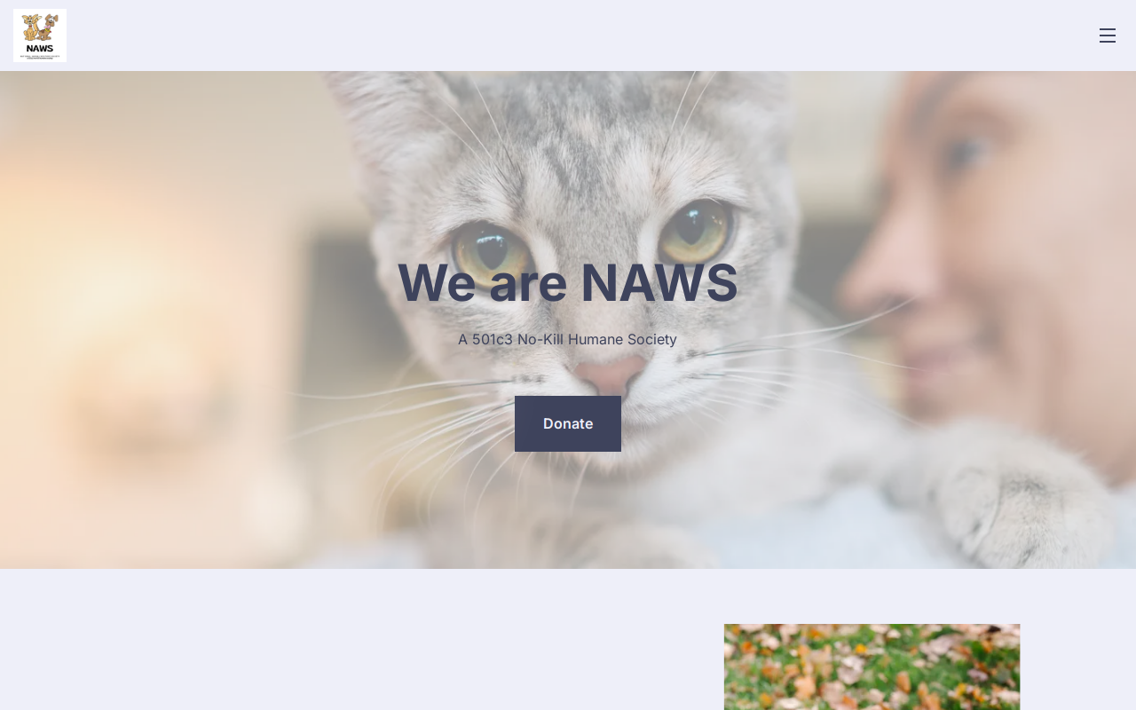 NAWS ReTails Resale Shop website preview