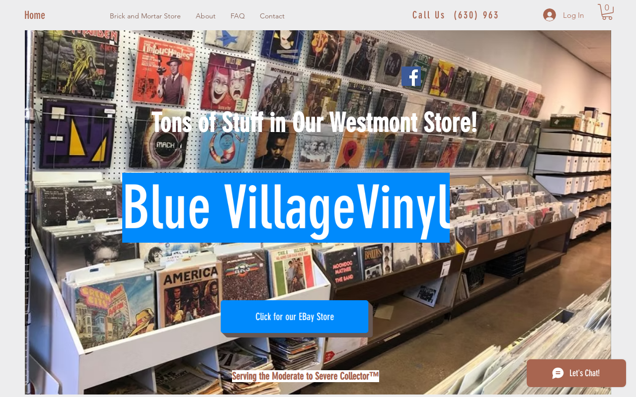 Blue Village Vinyl website preview