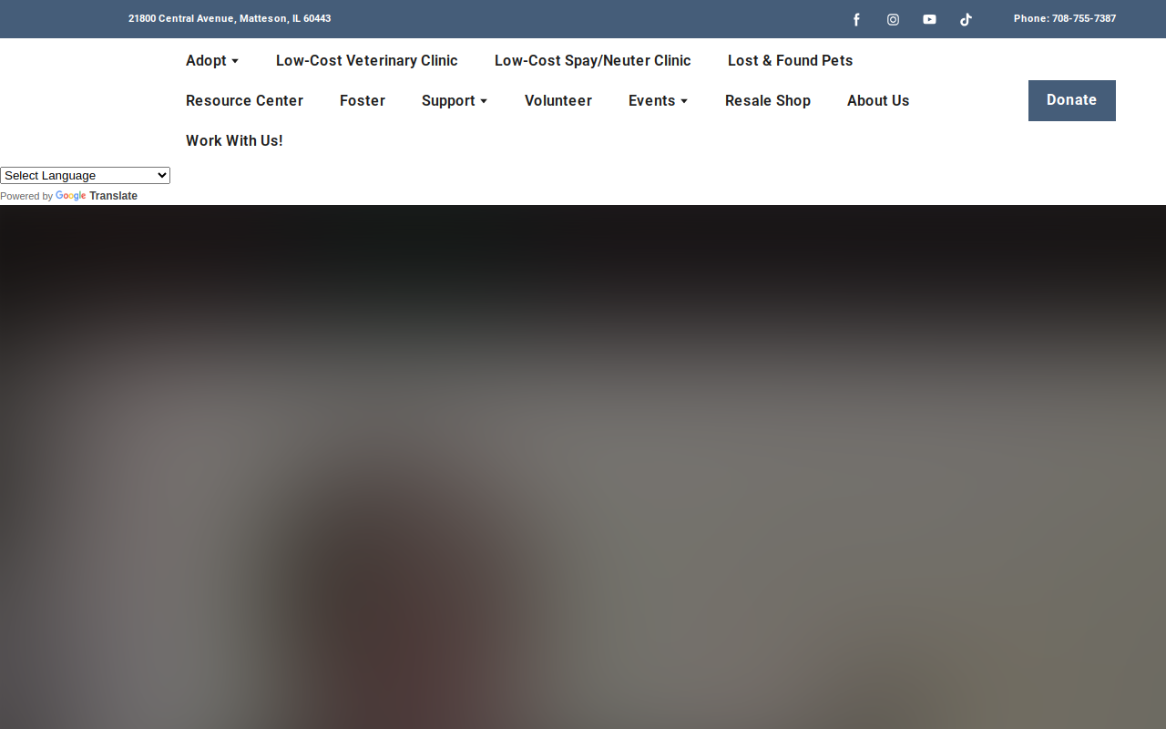 Second Chance Resale website preview