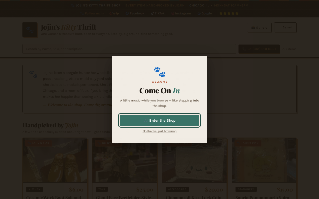 Jin's Thrift Store website preview