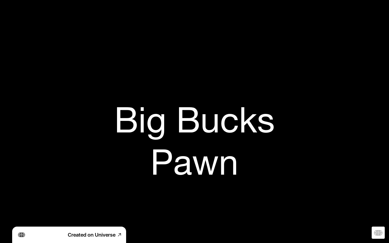 Big Bucks Pawn & Gun website preview