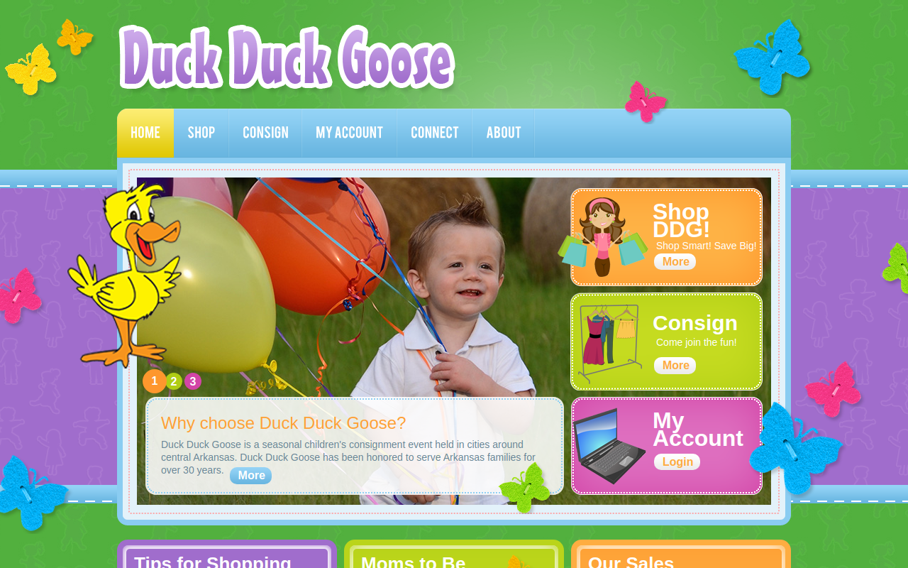 Duck Duck Goose Sale website preview