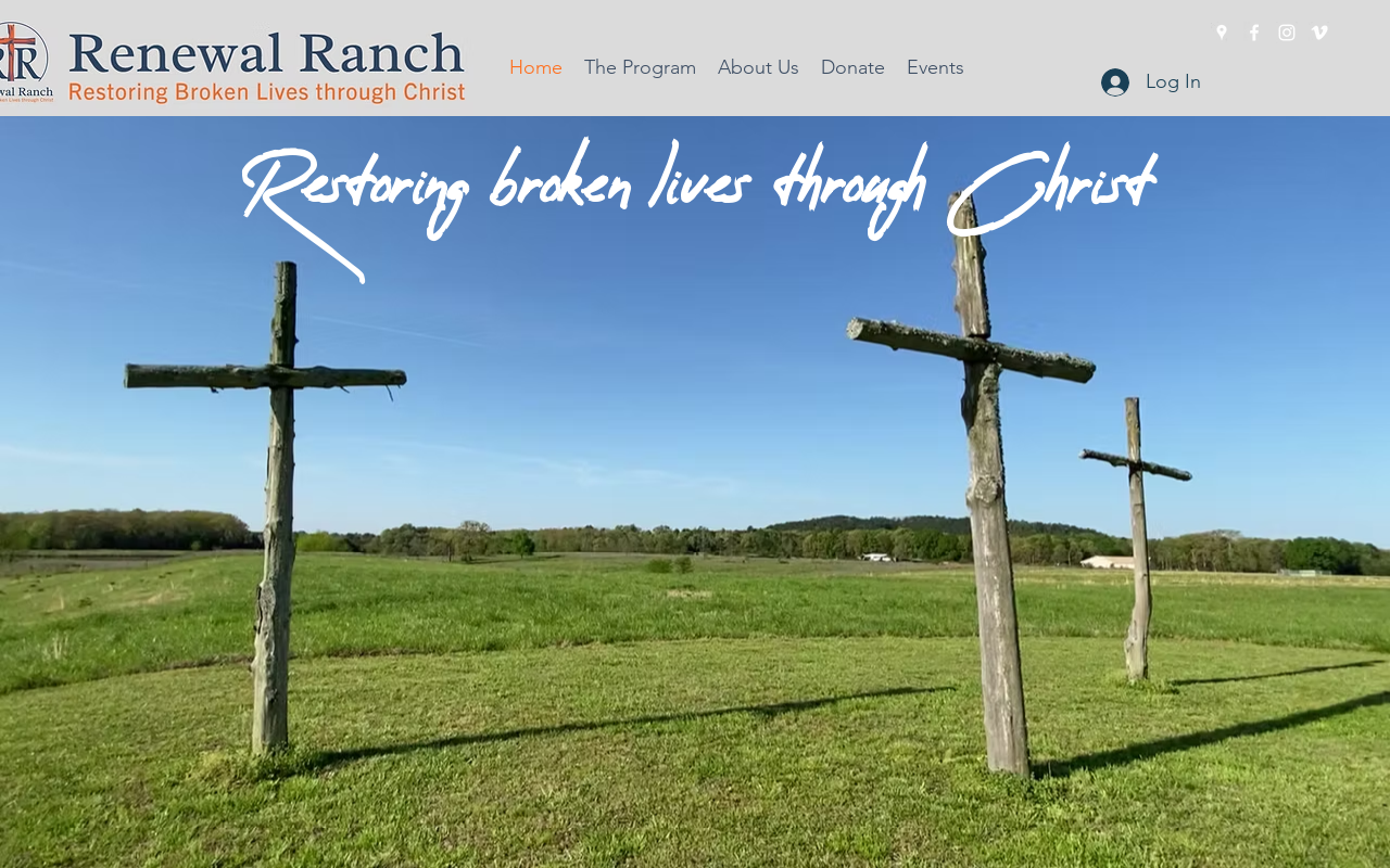 The Renewal Store website preview
