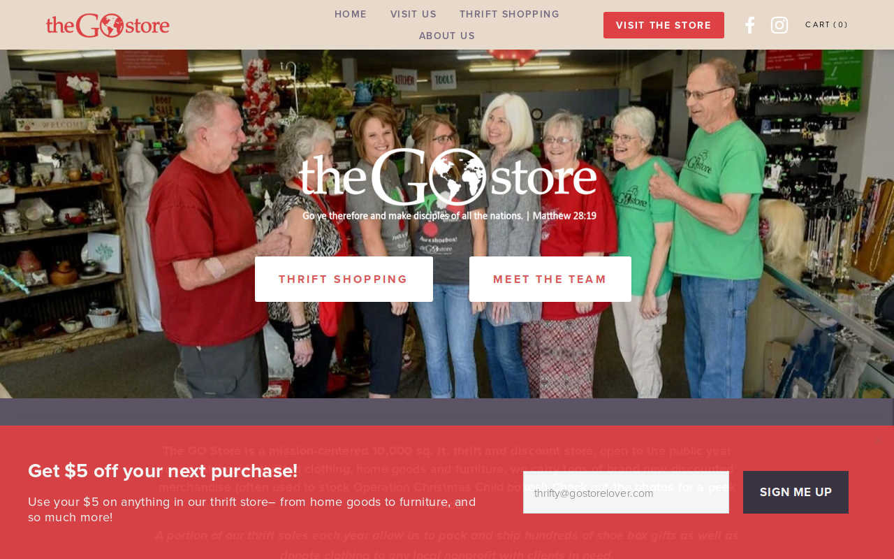 The Go Store website preview