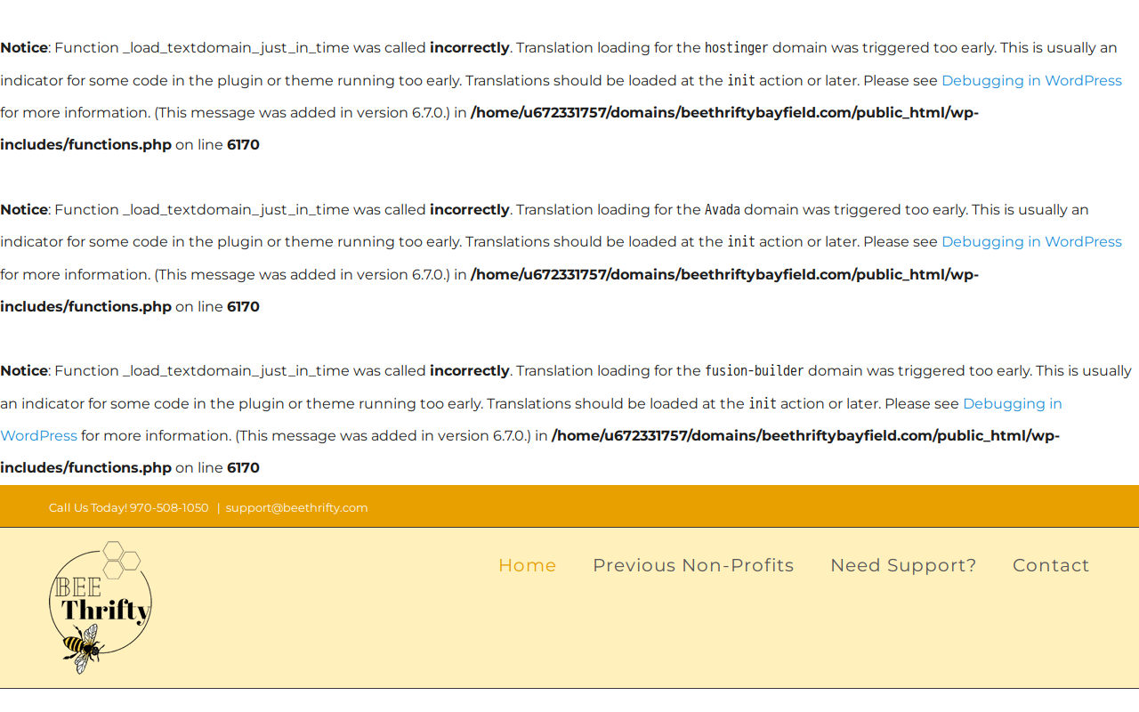 Bee Thrifty website preview