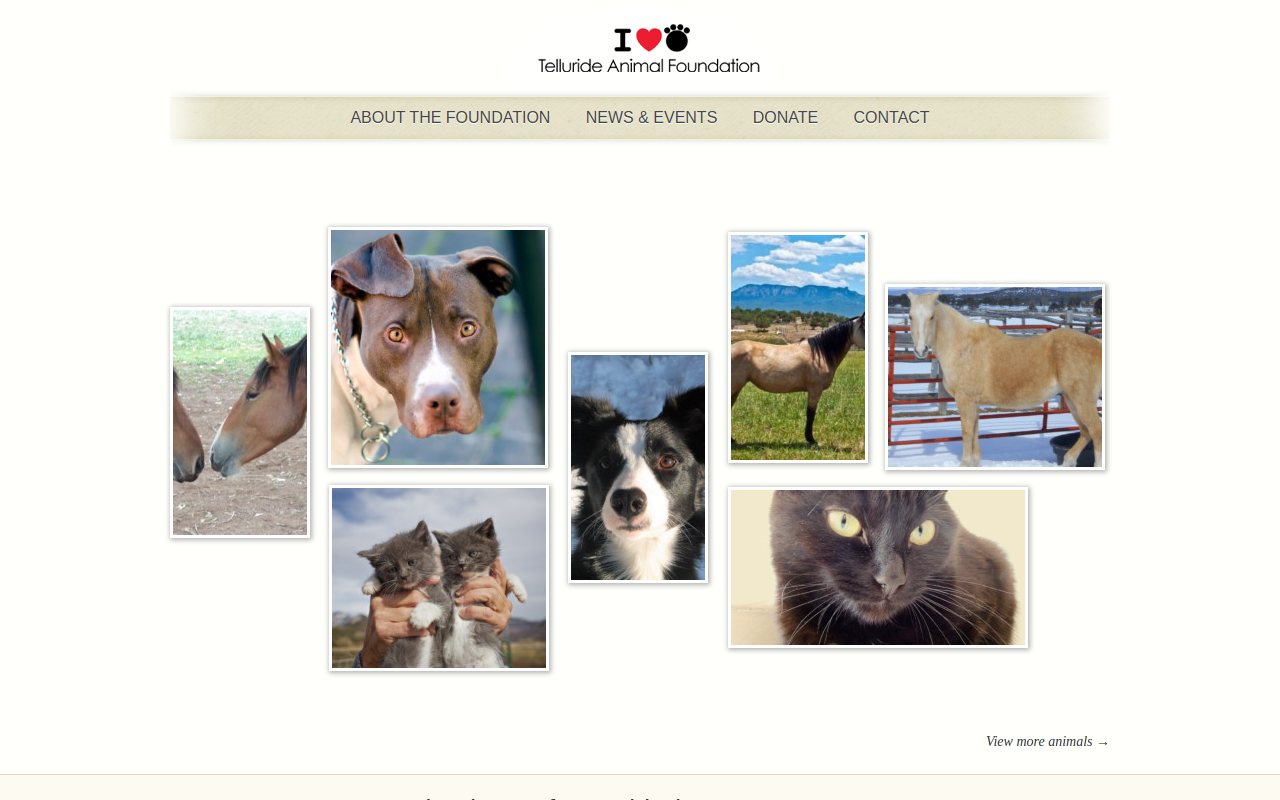 Telluride Thrift Shop website preview