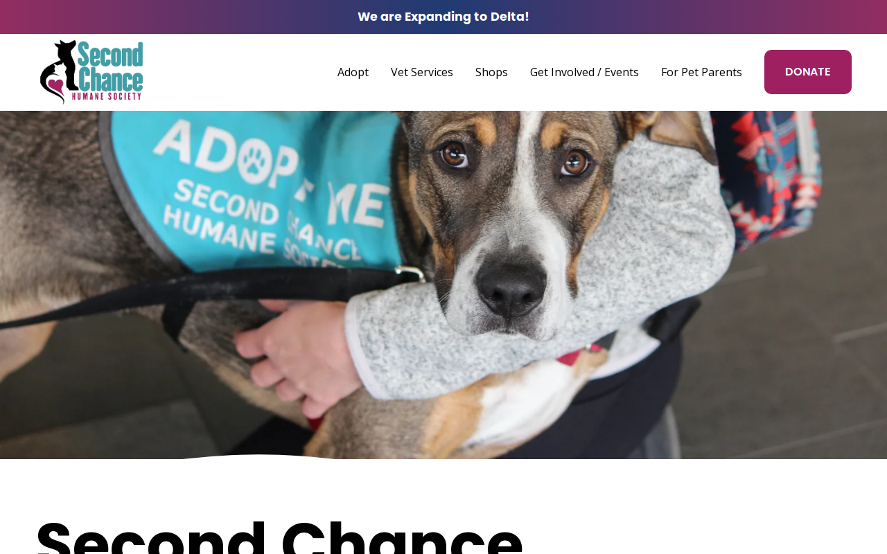 Second Chance Thrift Store website preview