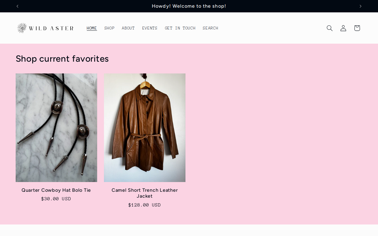 Wild Aster Co. website preview