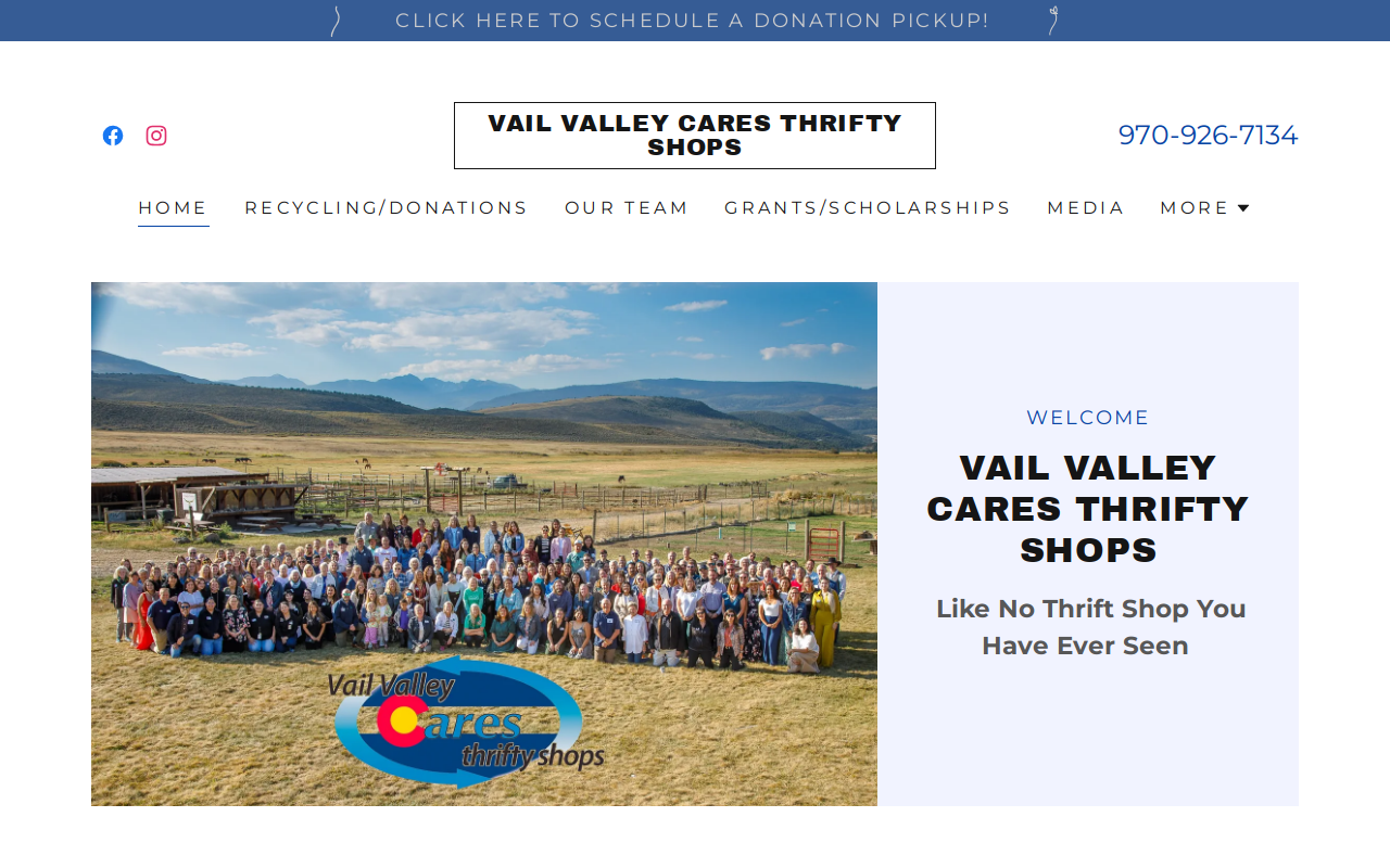 The Thrifty Shop II website preview