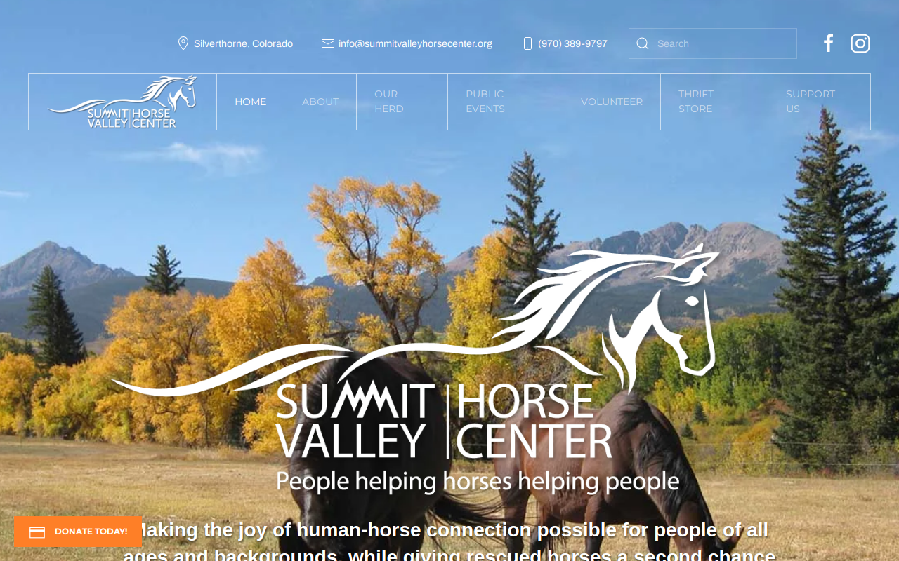 ReSaddled Thrift Store website preview