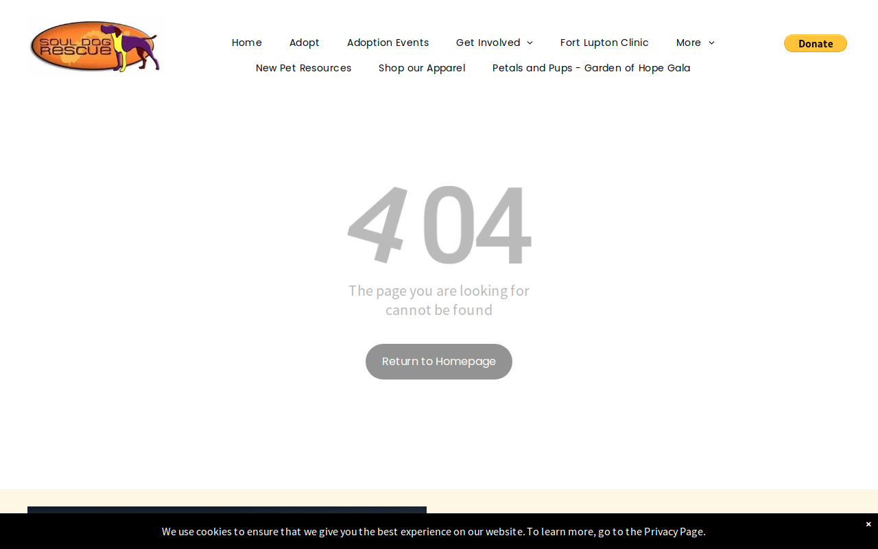 Soul Dog Humane Society Thrift Store website preview
