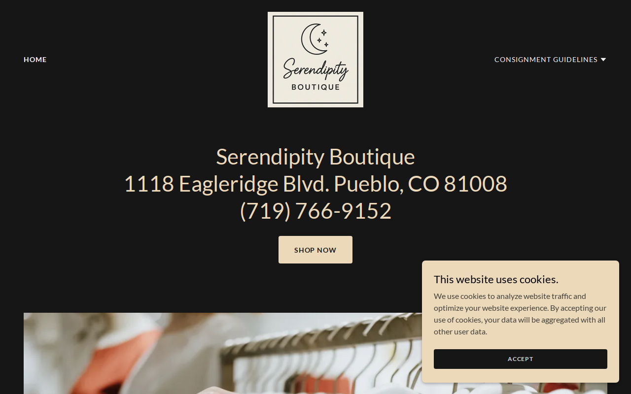 Serendipity Boutique website preview