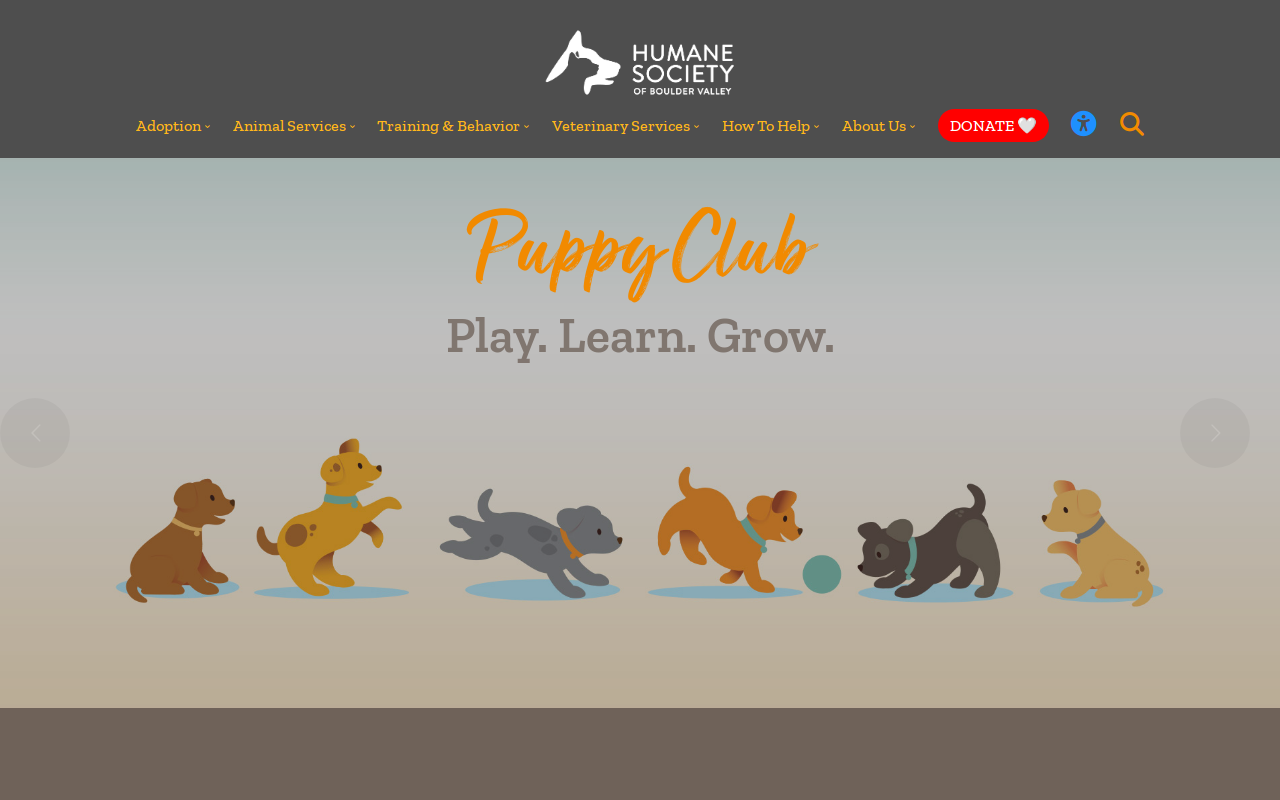 Humane Society website preview