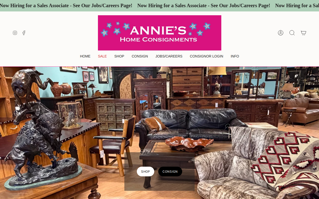 Annie's Home Consignments website preview