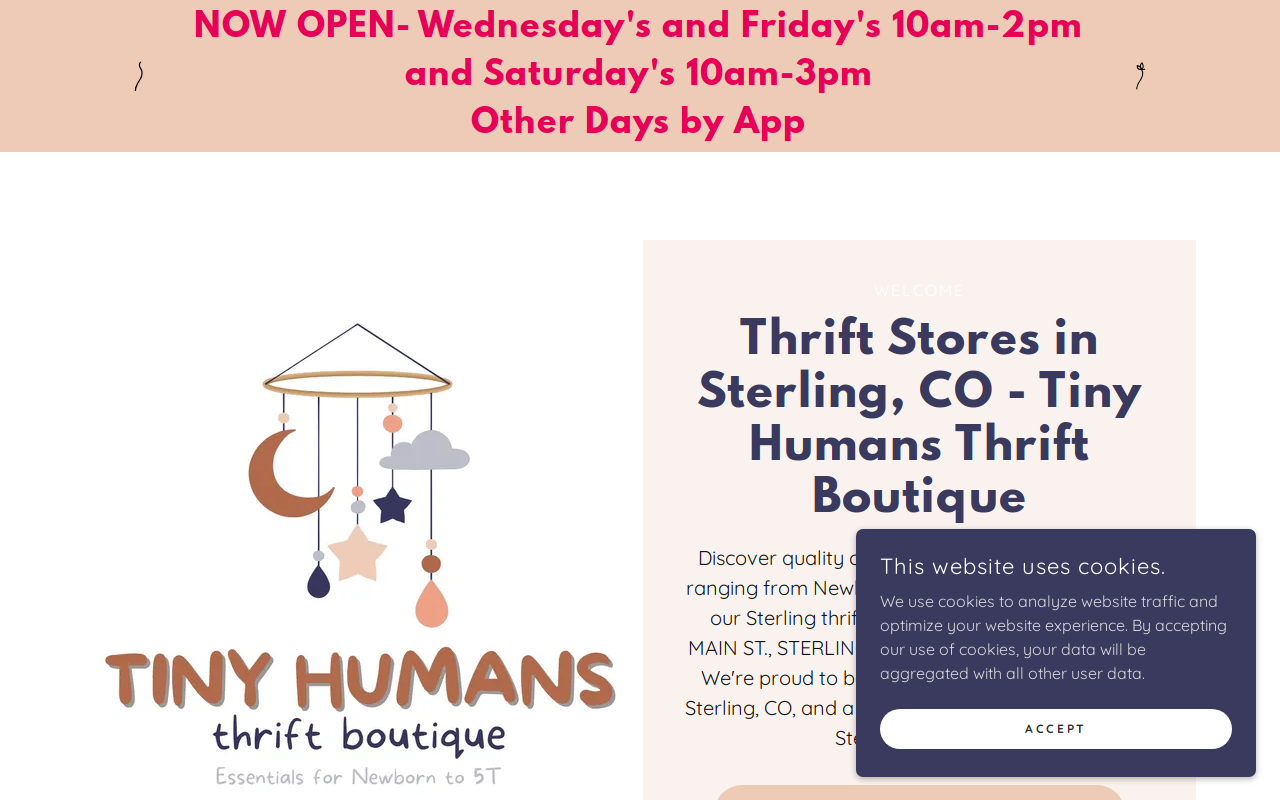 Tiny Humans Thrift Boutique website preview