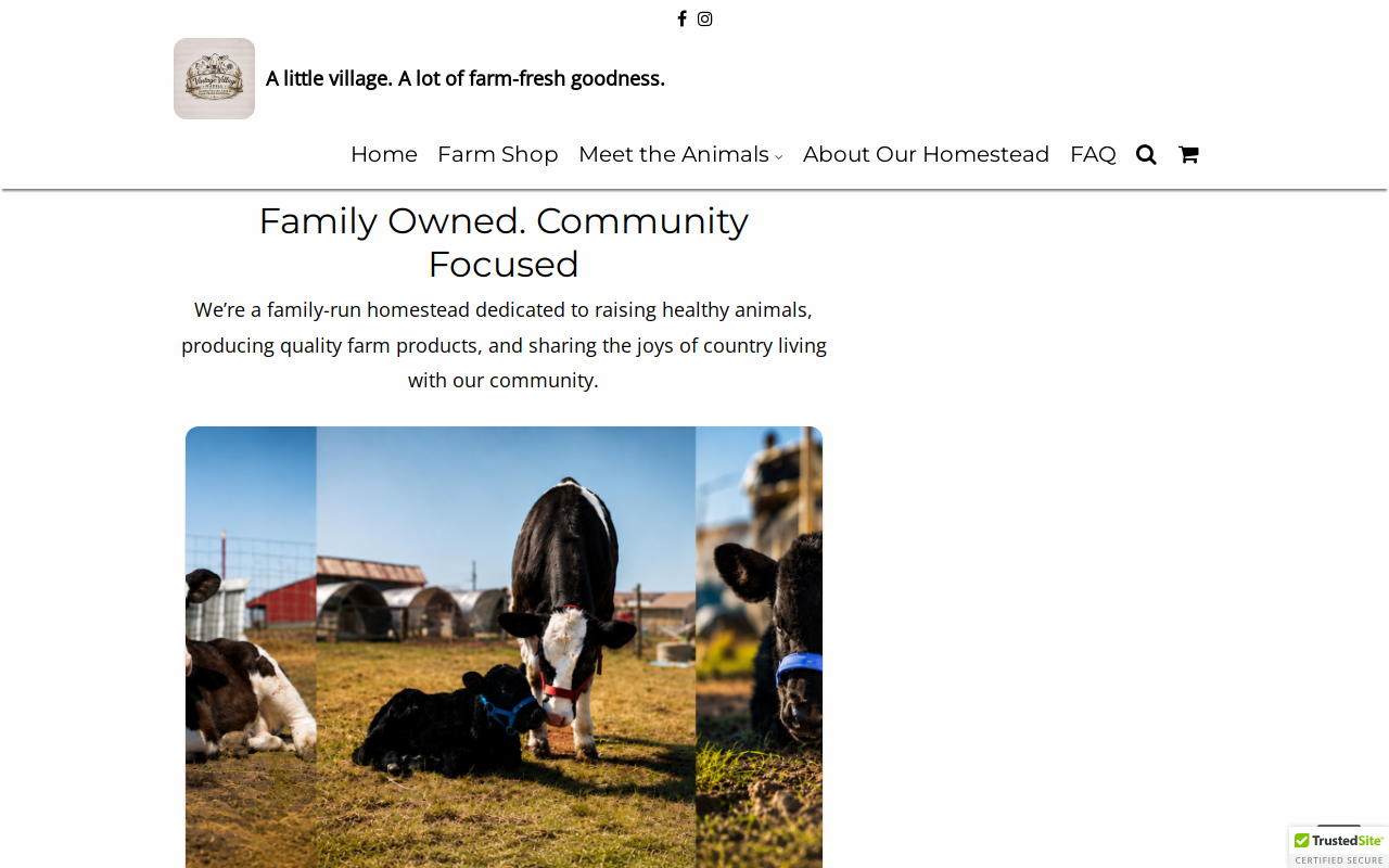 The Vintage Village Madill website preview
