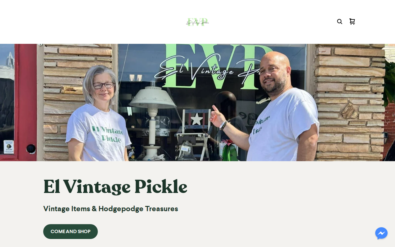 El Vintage Pickle website preview