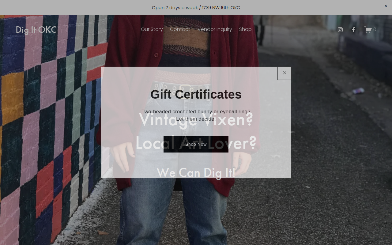 Dig It Boutique website preview
