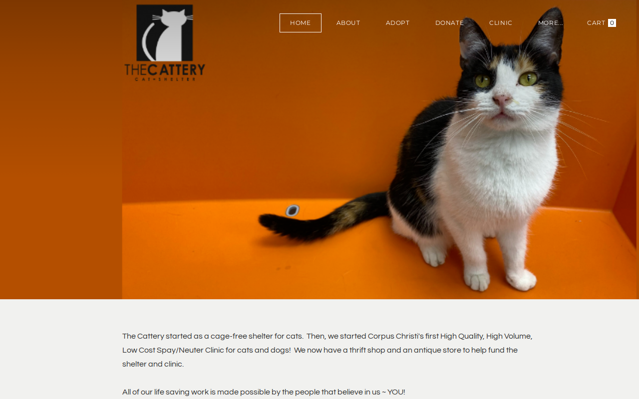 Retail Therapy website preview