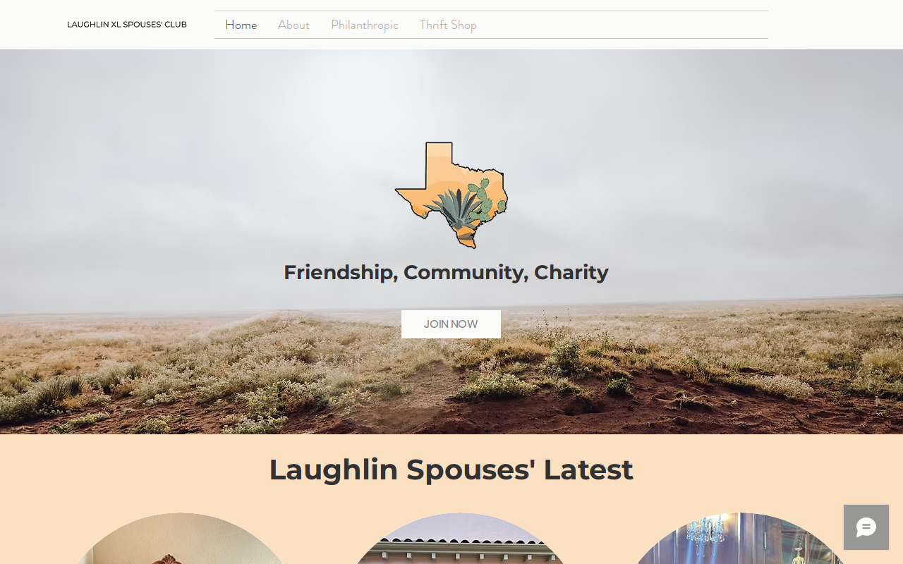 Laughlin Thrift Shop website preview