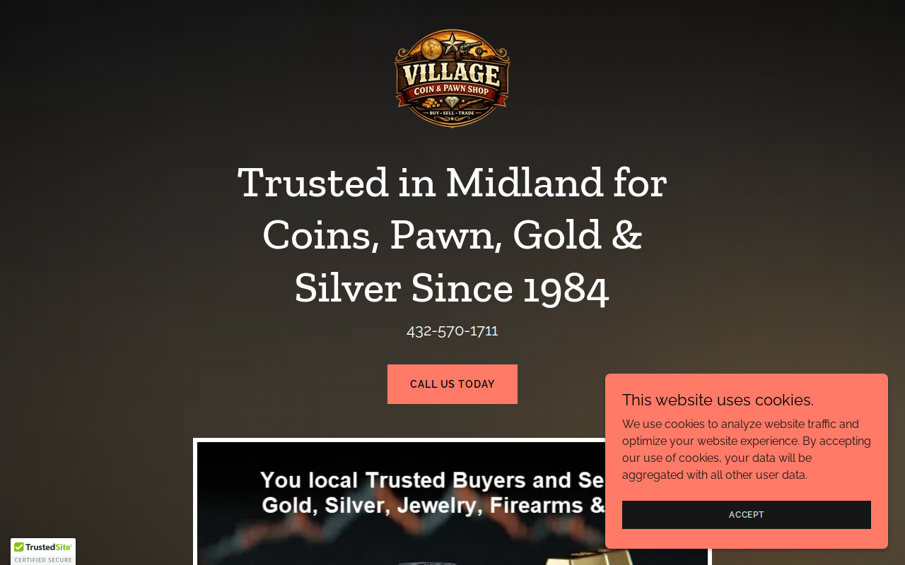 Village Coin & Pawn Shop website preview
