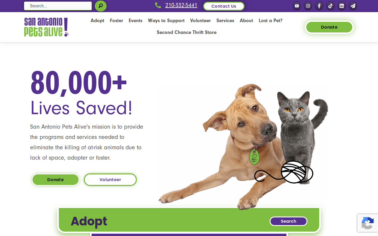 San Antonio Pets Alive! Second Chance Thrift Store website preview