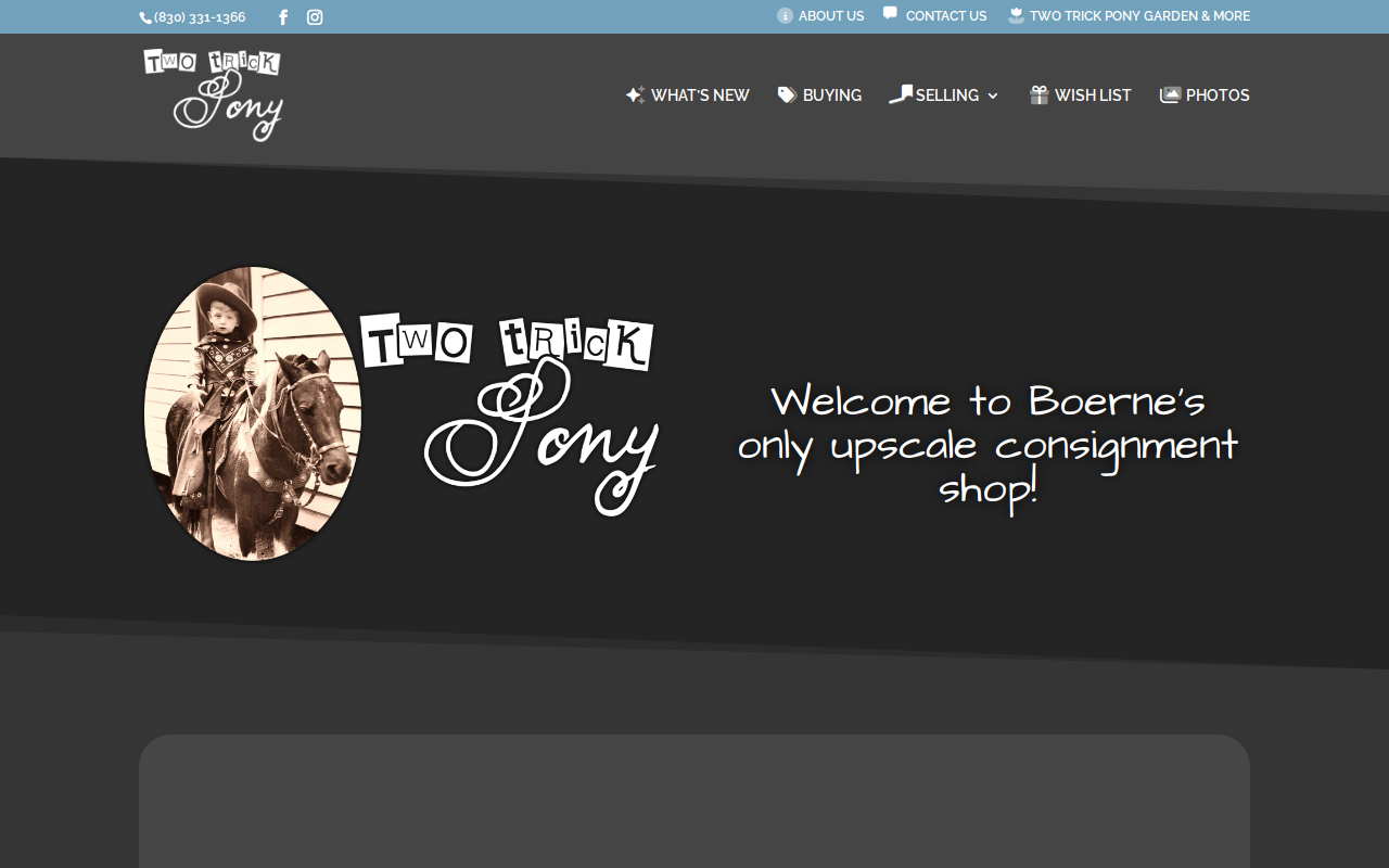 Two Trick Pony Consignment website preview