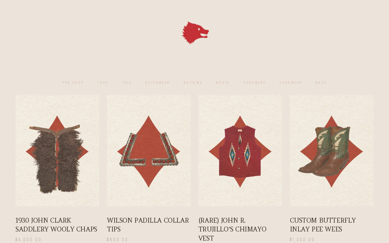 The Coyote Archives website preview