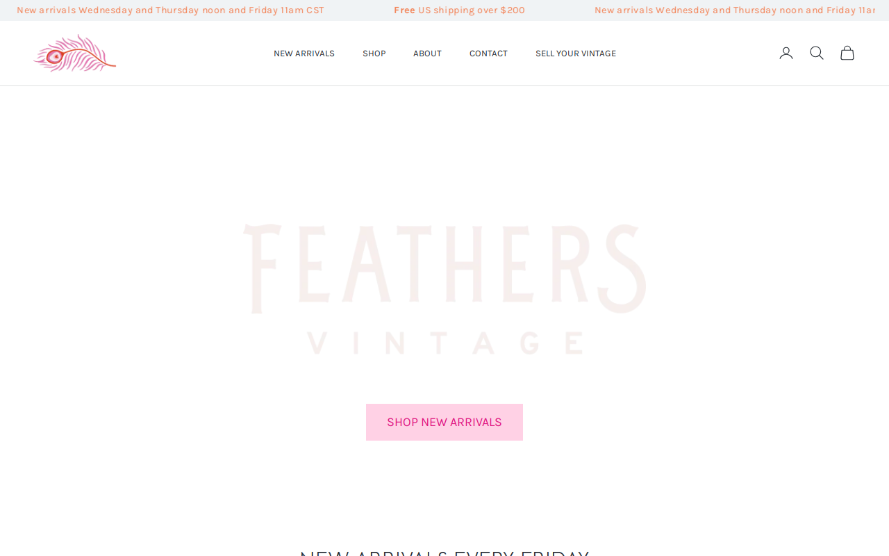 Feathers Boutique website preview