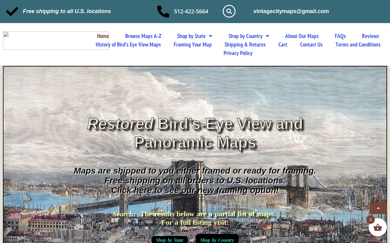 Vintage City Maps website preview