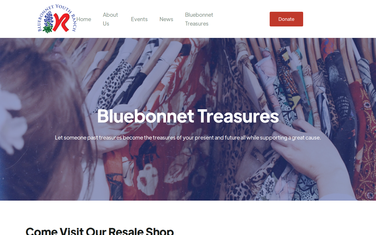 Bluebonnet Treasures website preview