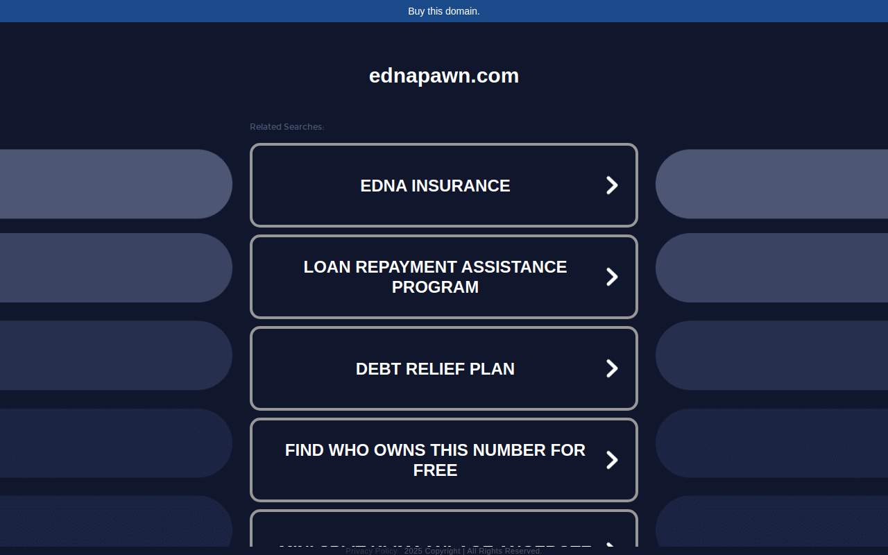 Edna Pawn website preview