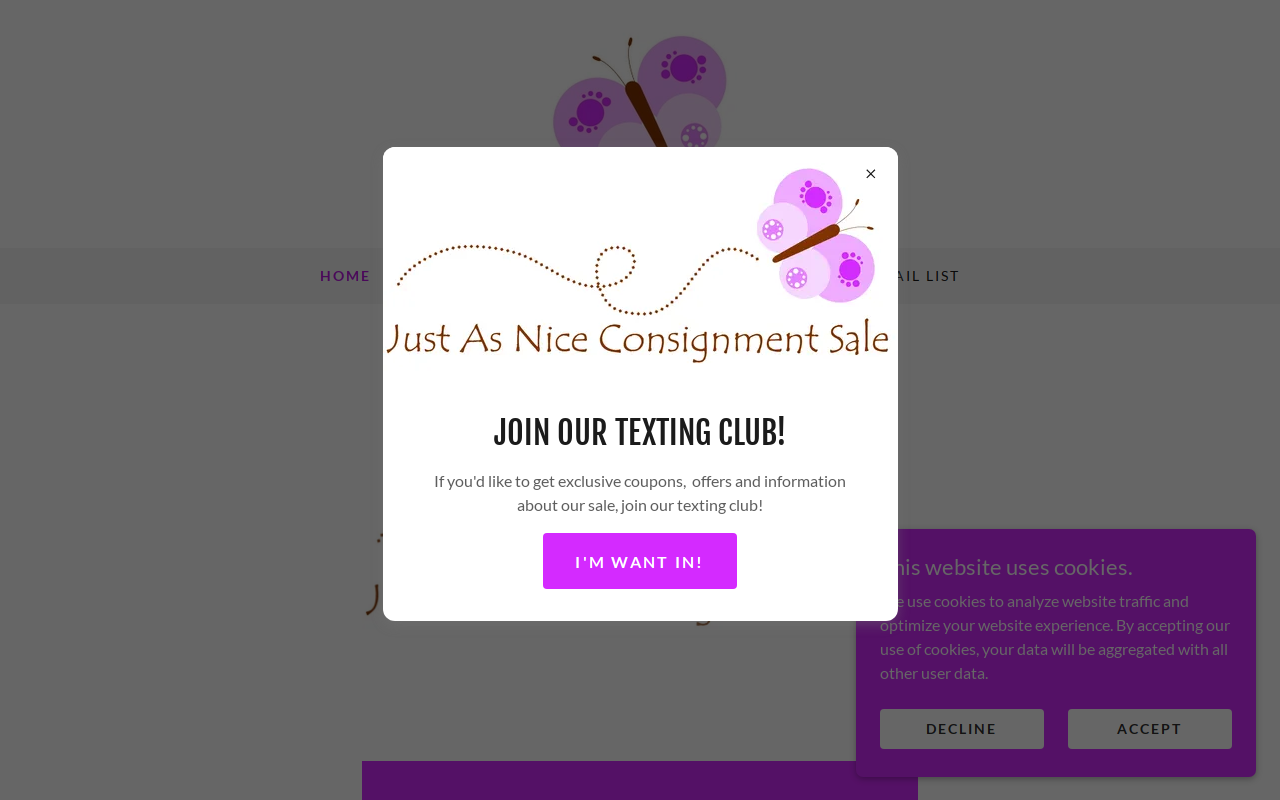 Just As Nice Consignment Sale website preview