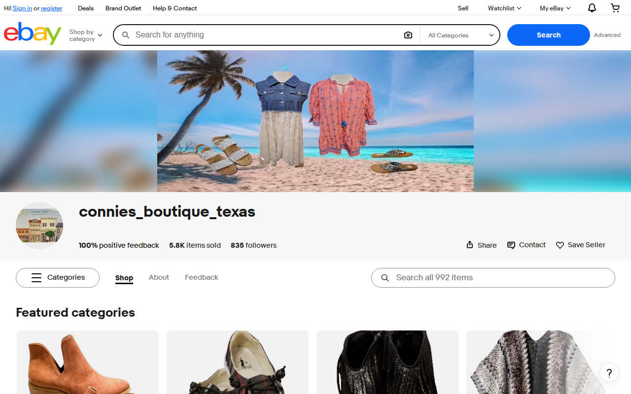 Connies website preview
