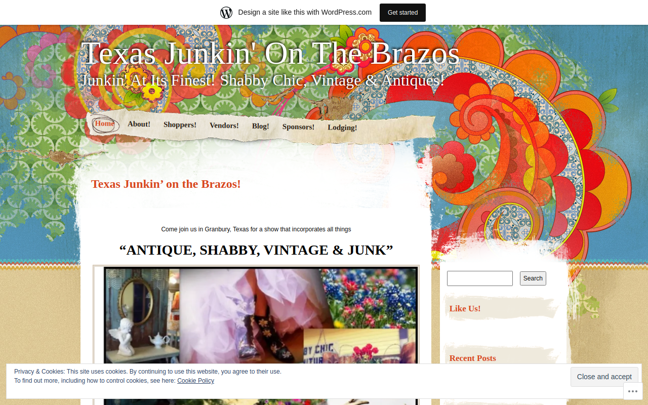 Texas Junkin on the Brazos website preview