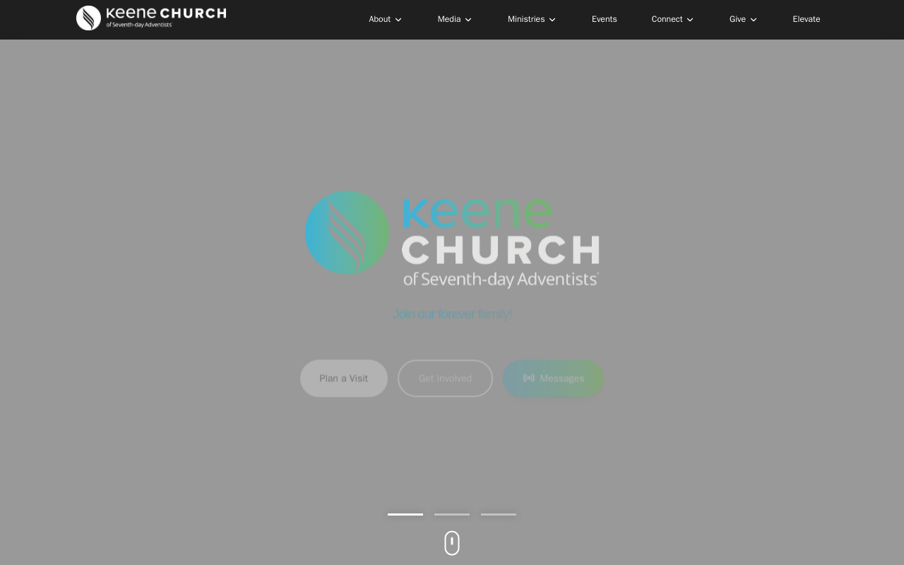 Great Stuff Resale Shop website preview